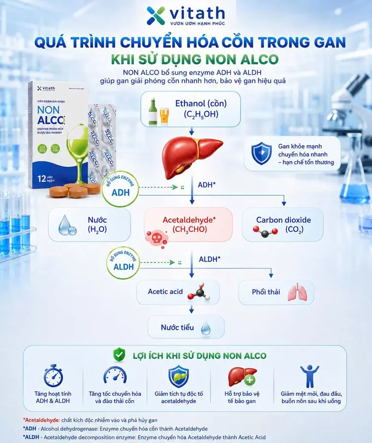 Hình ảnh truyền thông NON ALCO 20